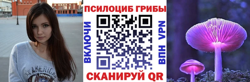Купить  Бобров  Псилоцибиновые грибы прущие грибы 